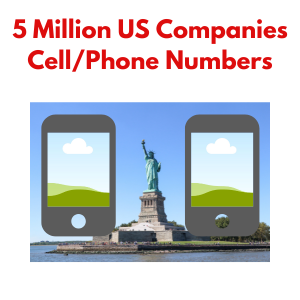 USA companies contact numbers 5M